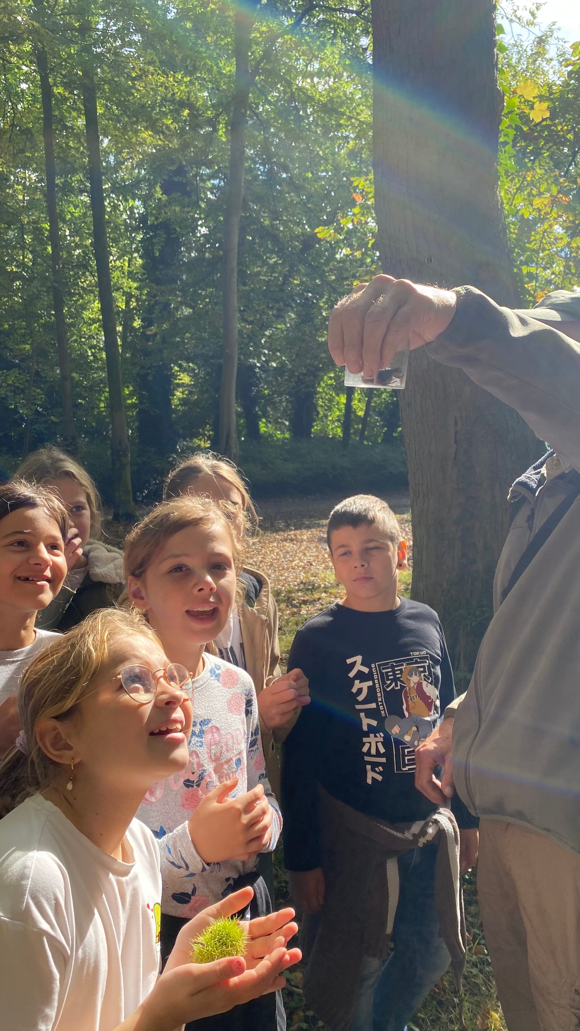 L5 Speuren in het bos.