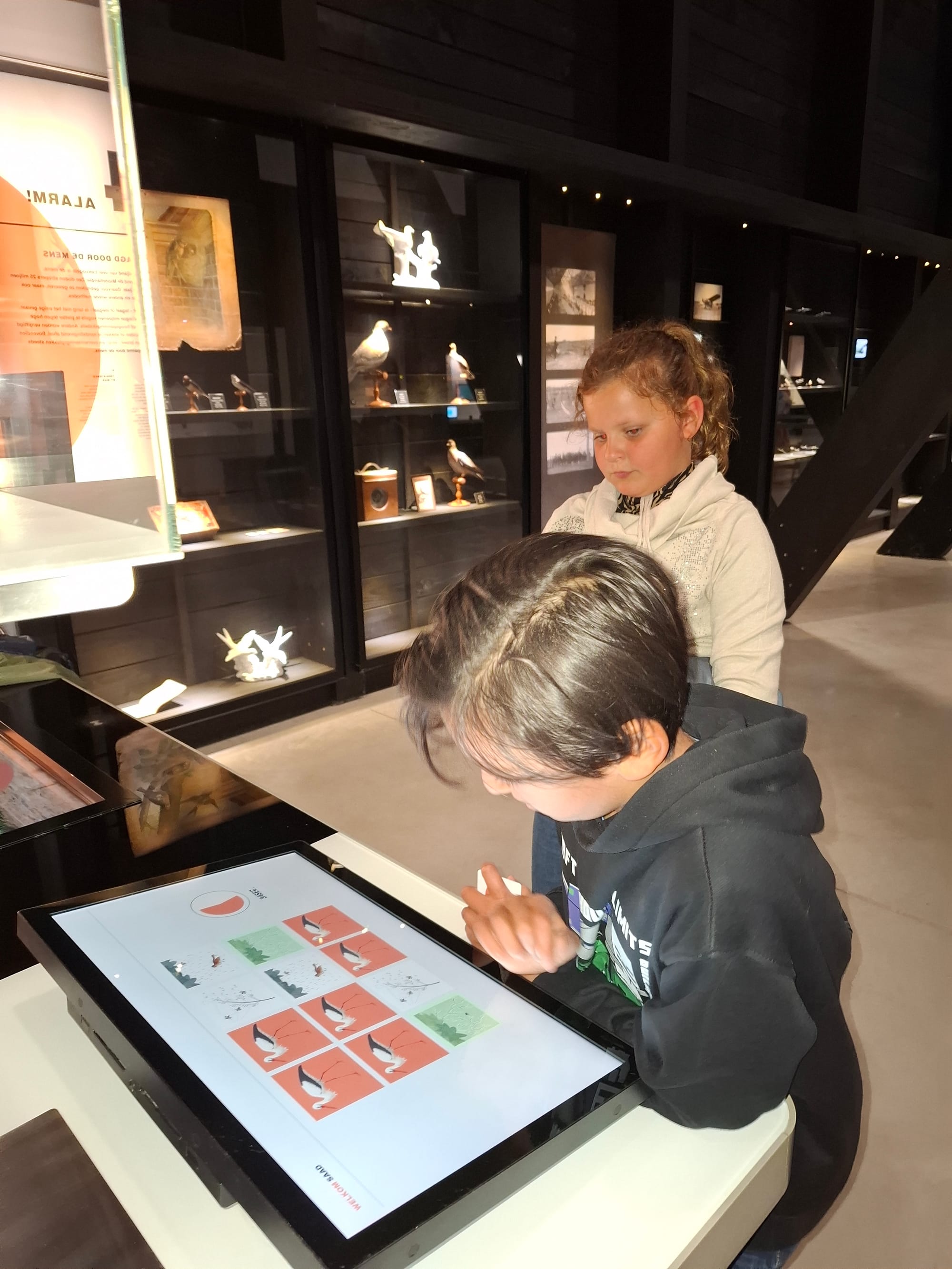 L3 gaat vogelspotten in Het Zwin