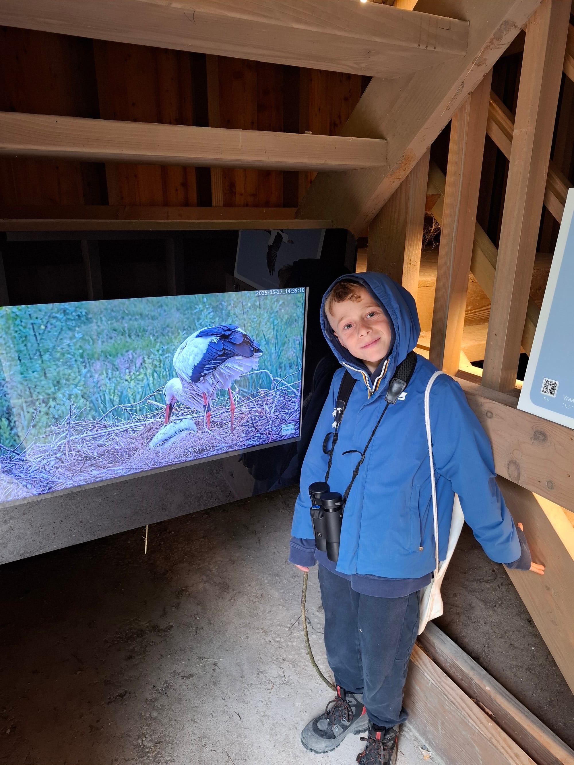 L3 gaat vogelspotten in Het Zwin