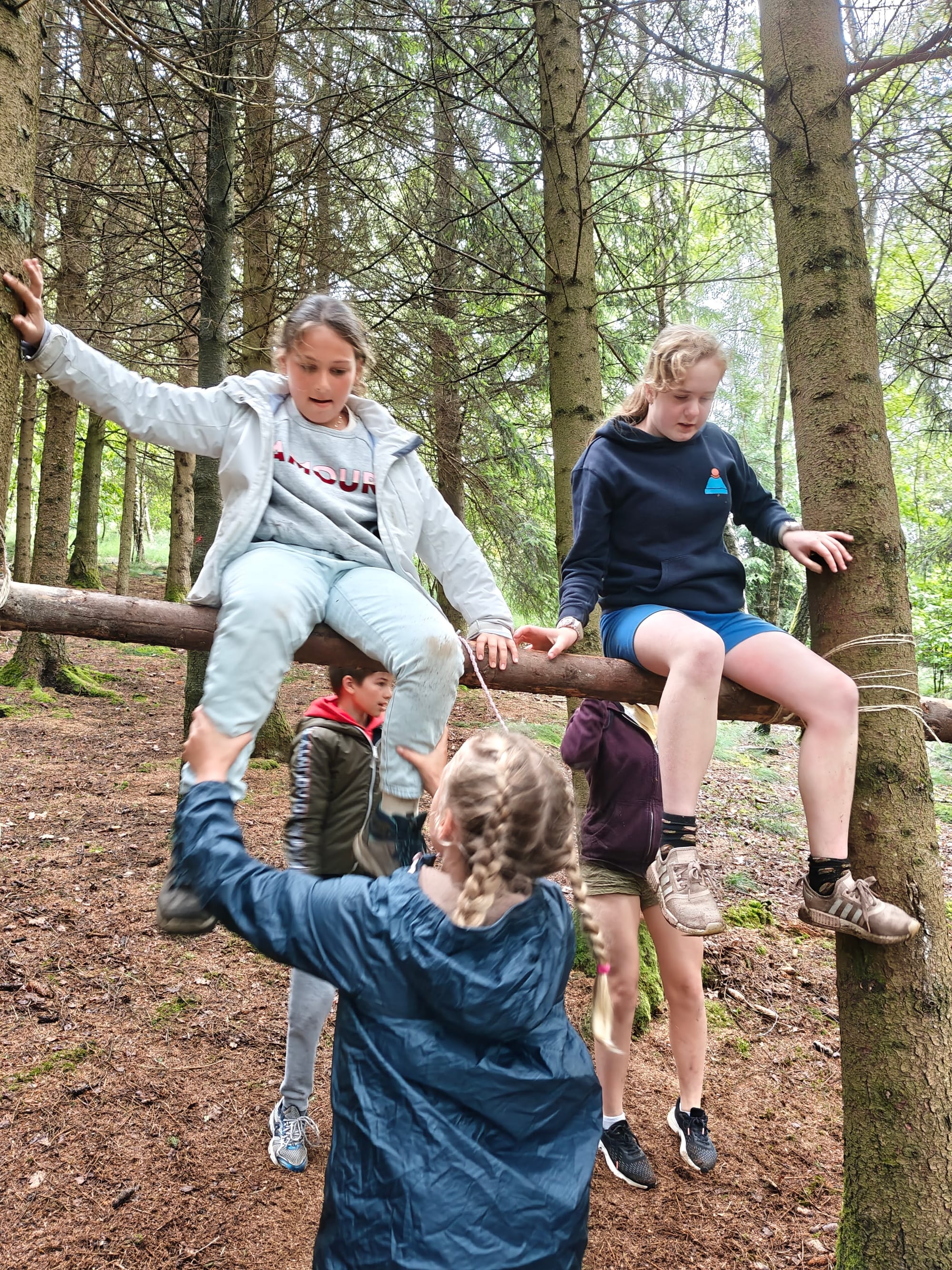Expeditieklassen L6