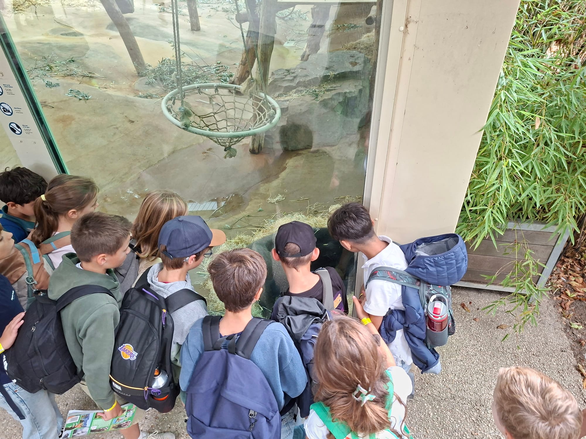 Op stap naar de Zoo