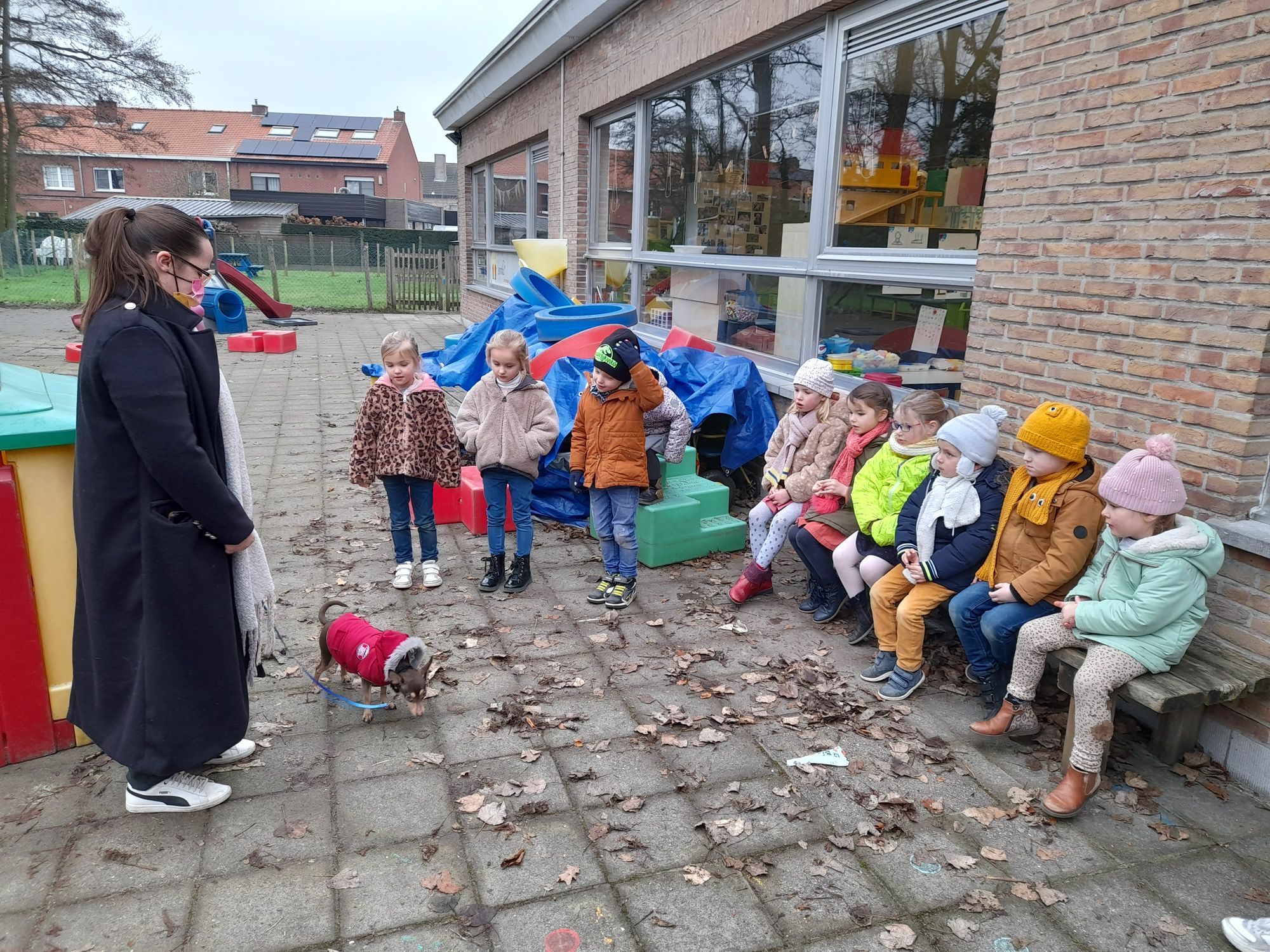 K1C Leren over huisdieren