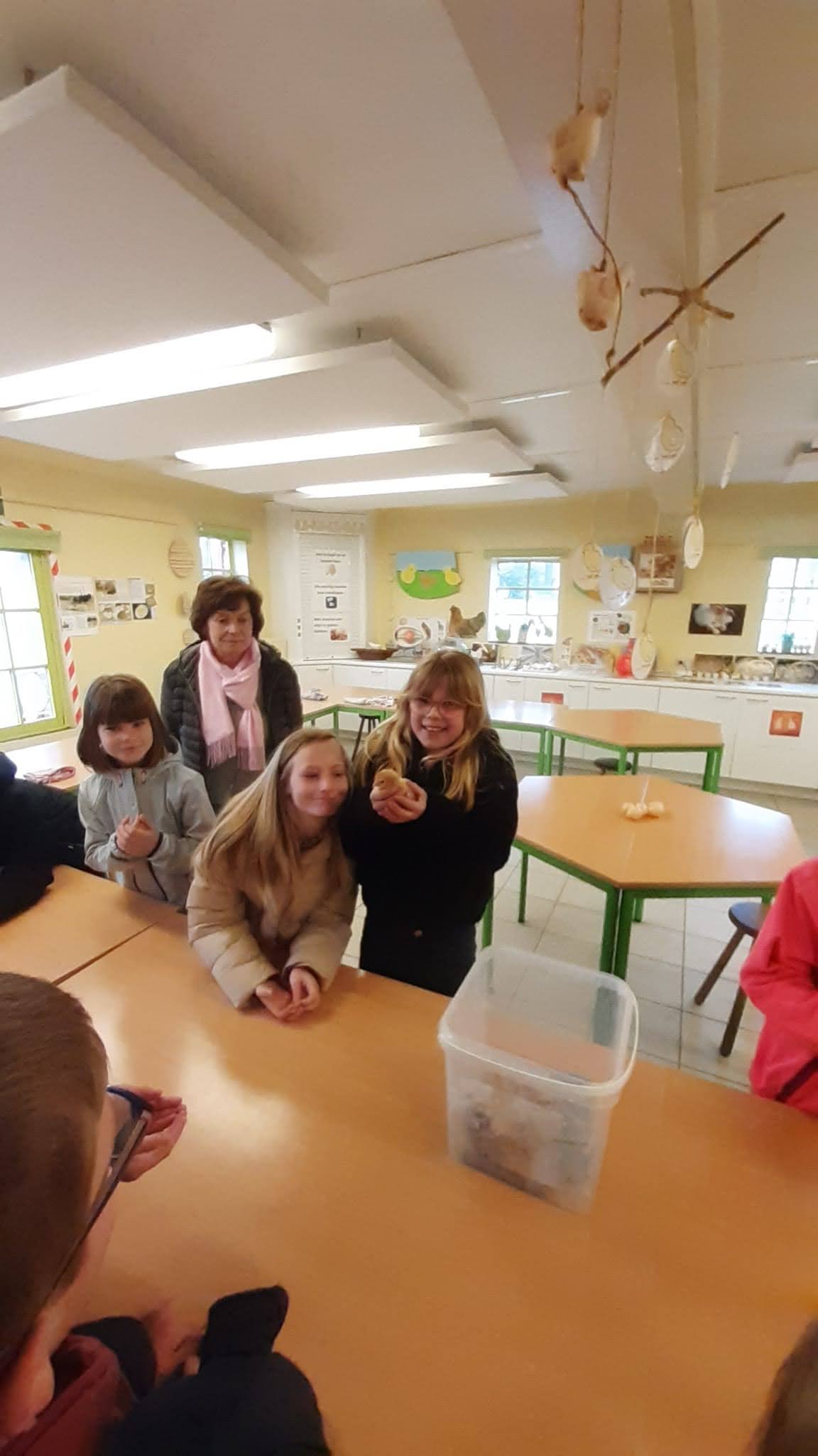 L3B Op stap naar de kinderboerderij