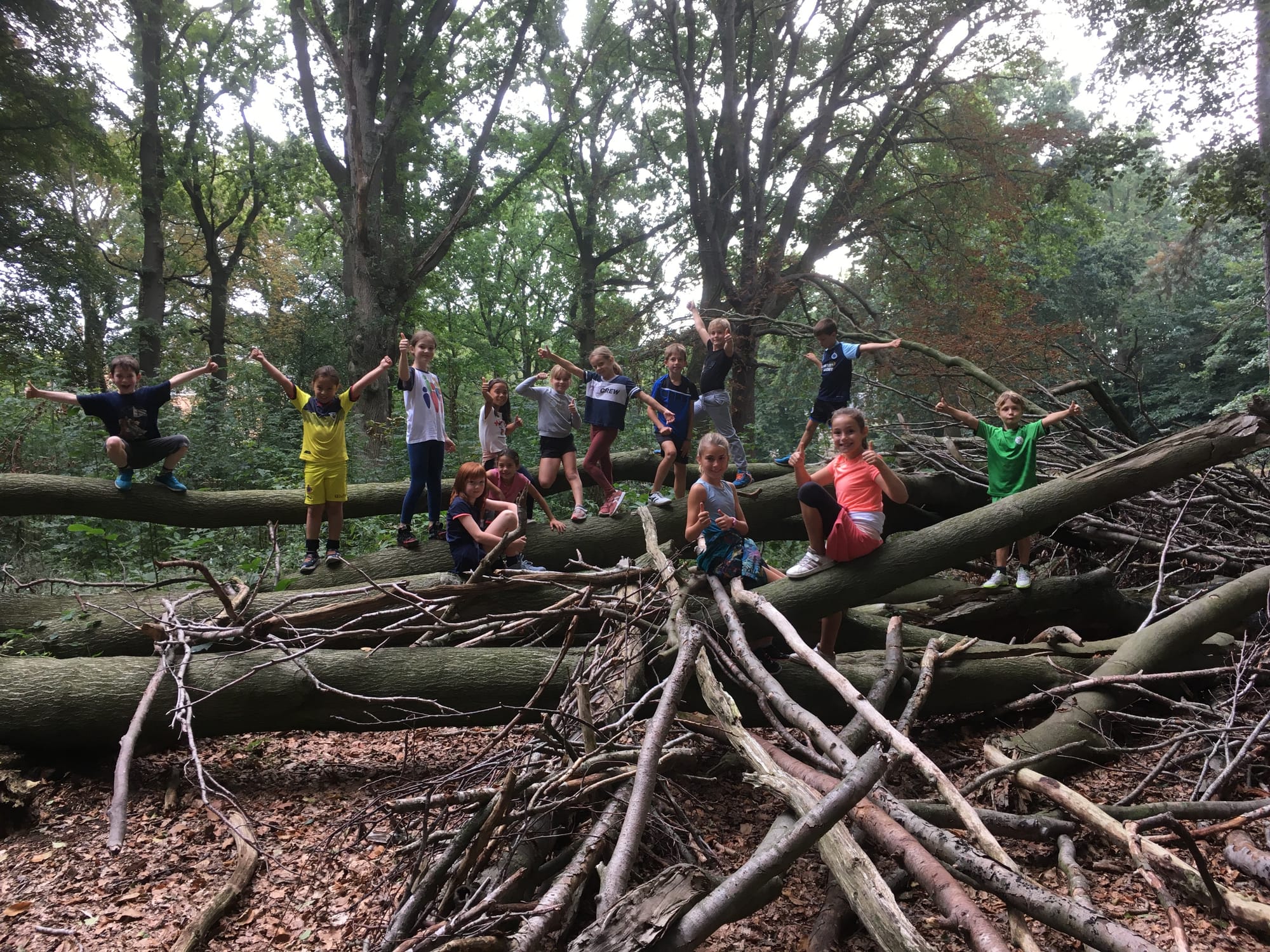 Sportdag voor de lagere school
