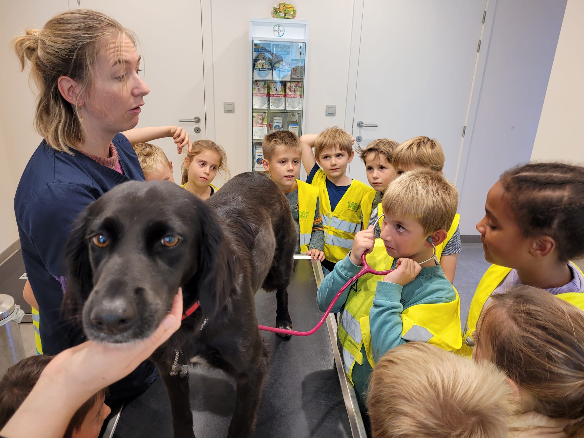 L2 Naar de dierenarts