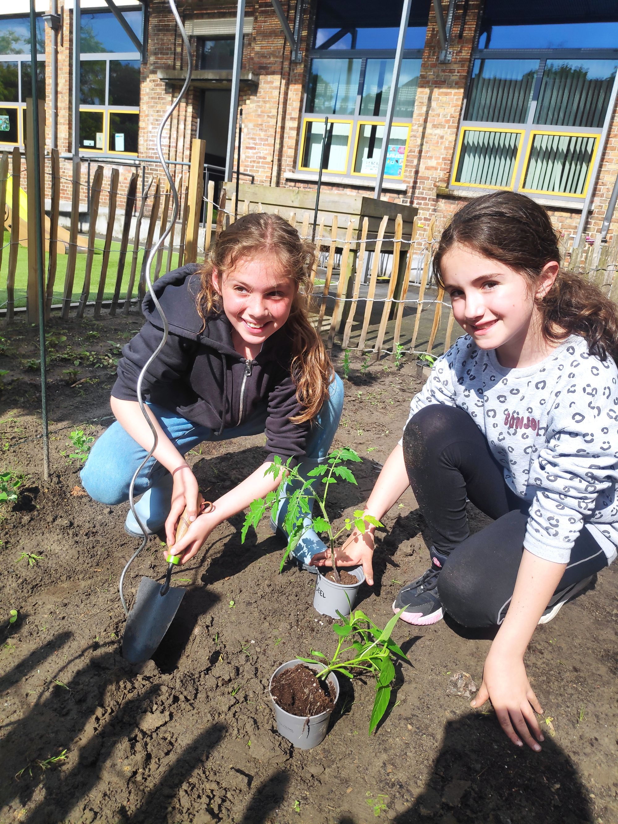 Groene vingers in de afdeling Koude Keuken