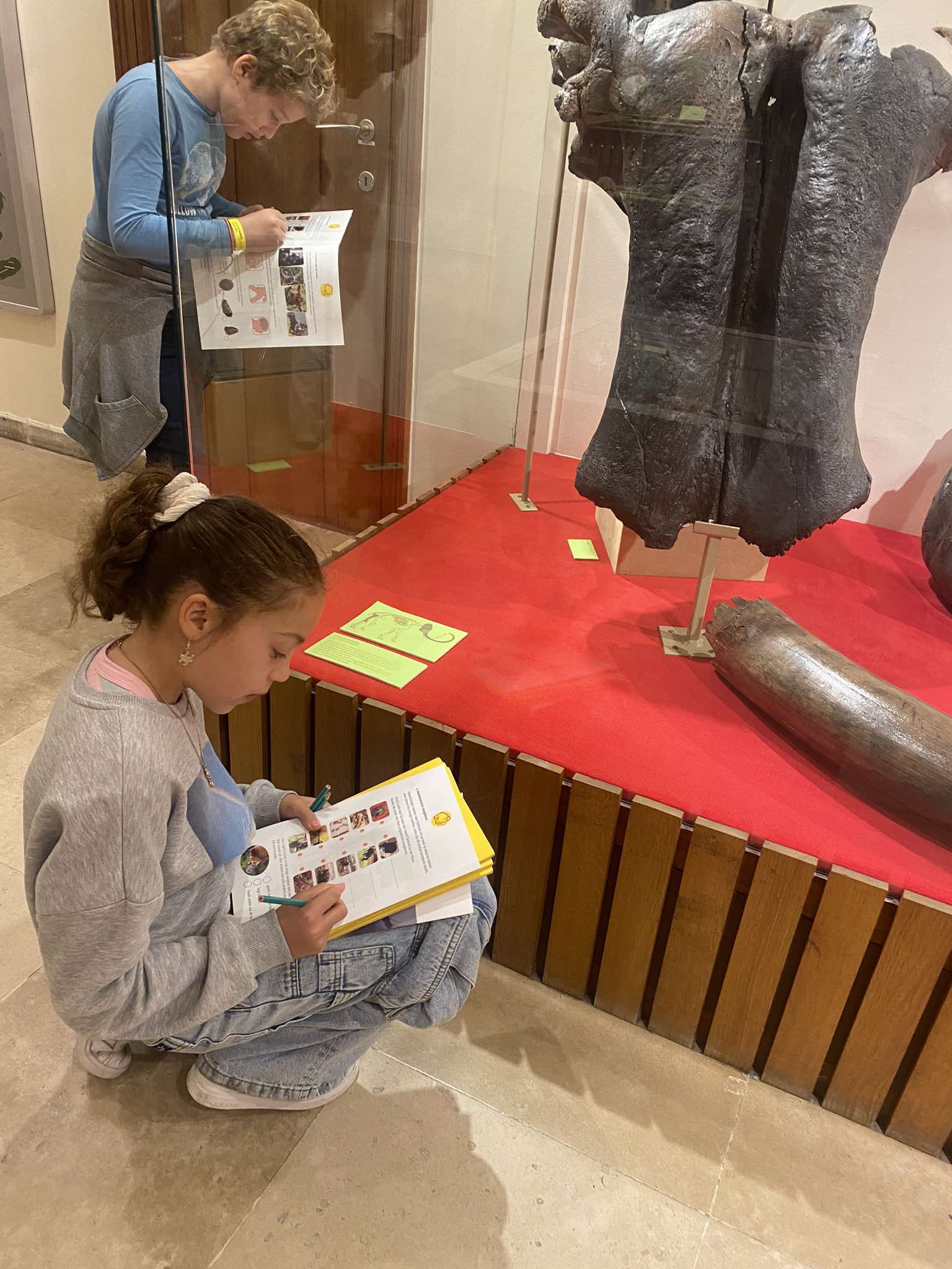 L5 bezoekt het Beroepenhuis en het museum Kina in Gent.