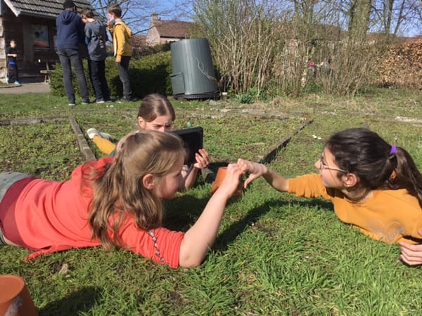 L3A Fotograferen in de schooltuin