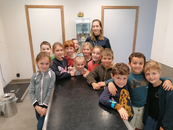 L2B Bezoek aan de dierenarts