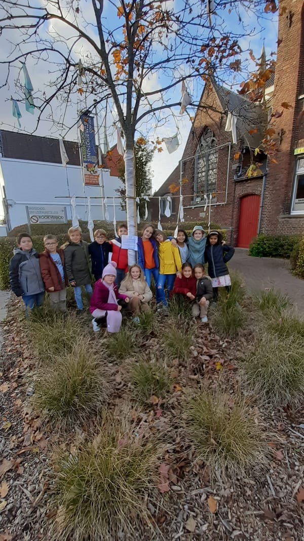 November: De Troostboom