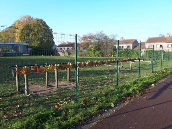 Kunst op het grasveld
