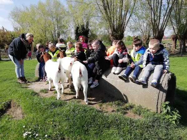 K Naar de kinderboerderij