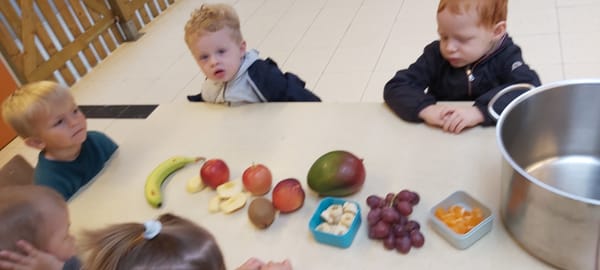 fruitsla in K1