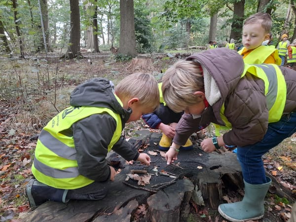 Blijmare ontdekt het bos in al zijn facetten! Wat een fijne uitstap!