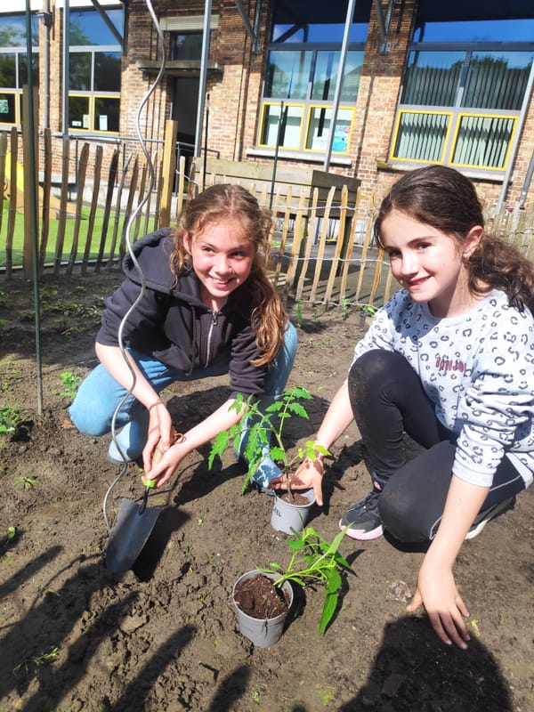 Groene vingers in de afdeling Koude Keuken