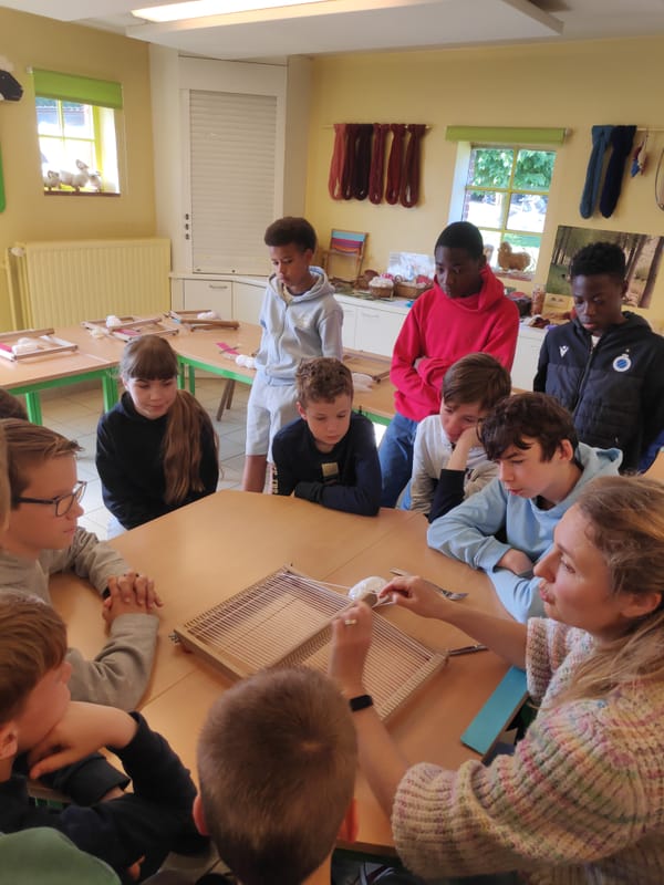 L6B leert wol weven