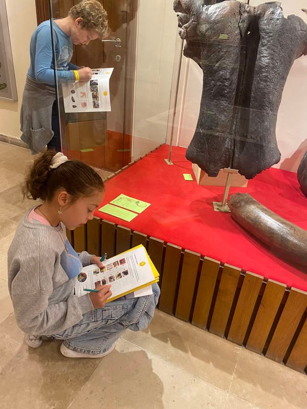 L5 bezoekt het Beroepenhuis en het museum Kina in Gent.